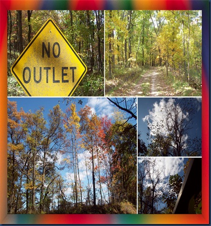 framedcollage framedcollage