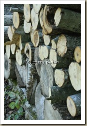 blog4 blog4
