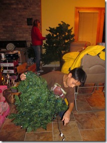 IMG_3687 IMG_3687