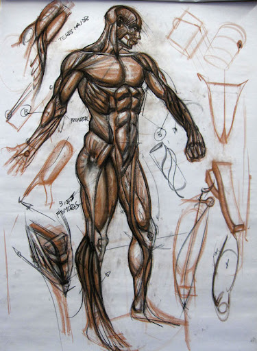 Charles Hu Figure Drawing Lecture*updated 4/21/2011* Charles Hu Figure Drawing Lecture*updated 4/21/2011*