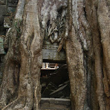 107 Nov 2006 Siem Reap, Cambodia Ta Prom.JPG