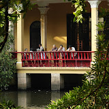 Jardim Lou Lim