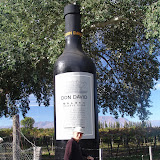 DSC04022.JPG