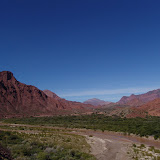 DSC04121.JPG