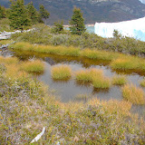 DSC03359.JPG
