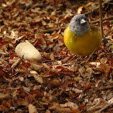DSC03417.JPG