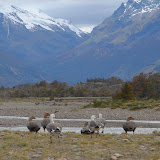 DSC03445.JPG