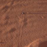 032 May 2005 Namibia Sesriem Sossusvlei Namib Naukluft Park.JPG