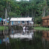 296 Feb 2006 Caxiuana Ferreira Penna Scientific Research Station.JPG