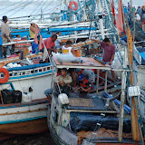 DSC00916.JPG