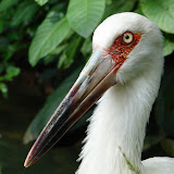 DSC02133.jpg