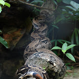DSC02156.jpg