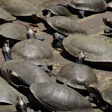 DSC01013.JPG
