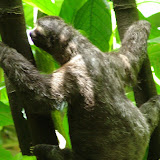DSC01040.JPG