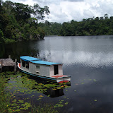Ferreira Penna Research 
Station in Caxiuana along the Amazon