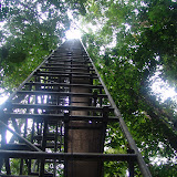 079 Feb 2006  Caxiuana Ferreira Penna Scientific Research Station.JPG