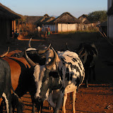 114 June 2005  Antsirabe, Madagascar on the way to Miandravazo.JPG