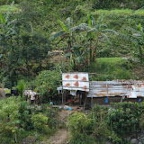088 Oct 2005 Banaue, Philippines about 15 km from Banaue.JPG