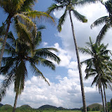 136 Oct Bohol, Philippines Chocolate Hills.JPG