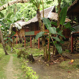 175 Nov Bohol, Philippines Loboc River Nuts Huts.JPG