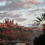 The castle and a "Malagasy"
palm at sunset.