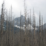 IMG_1969.JPG