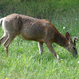 DSC09121.JPG