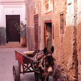 DSCN0214.JPG