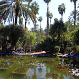 DSCN0223.JPG