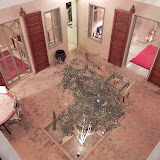 DSCN0047.JPG