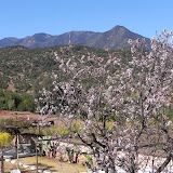 DSCN0349.JPG