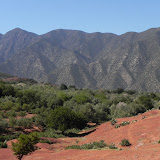 DSCN0403.JPG