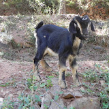 DSCN0417.JPG