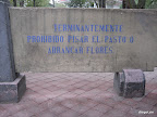 IMG_6339.JPG