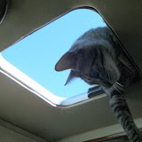  &ndash; Lucy poking her head in the hatch