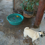  &ndash; Bridget's Pool