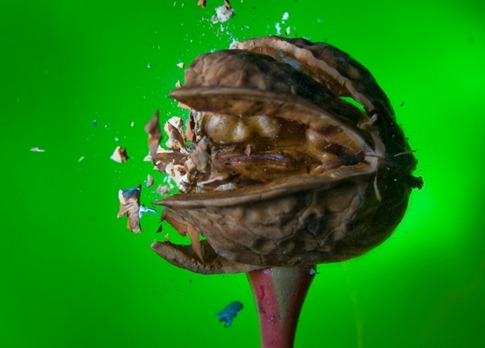 [fotos alta velocidade desbaratinando tiros balas  (37)[3].jpg]