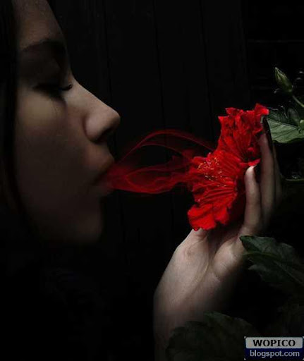 Rose Kisses