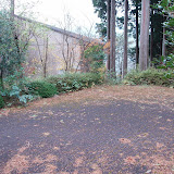 PB200025.JPG