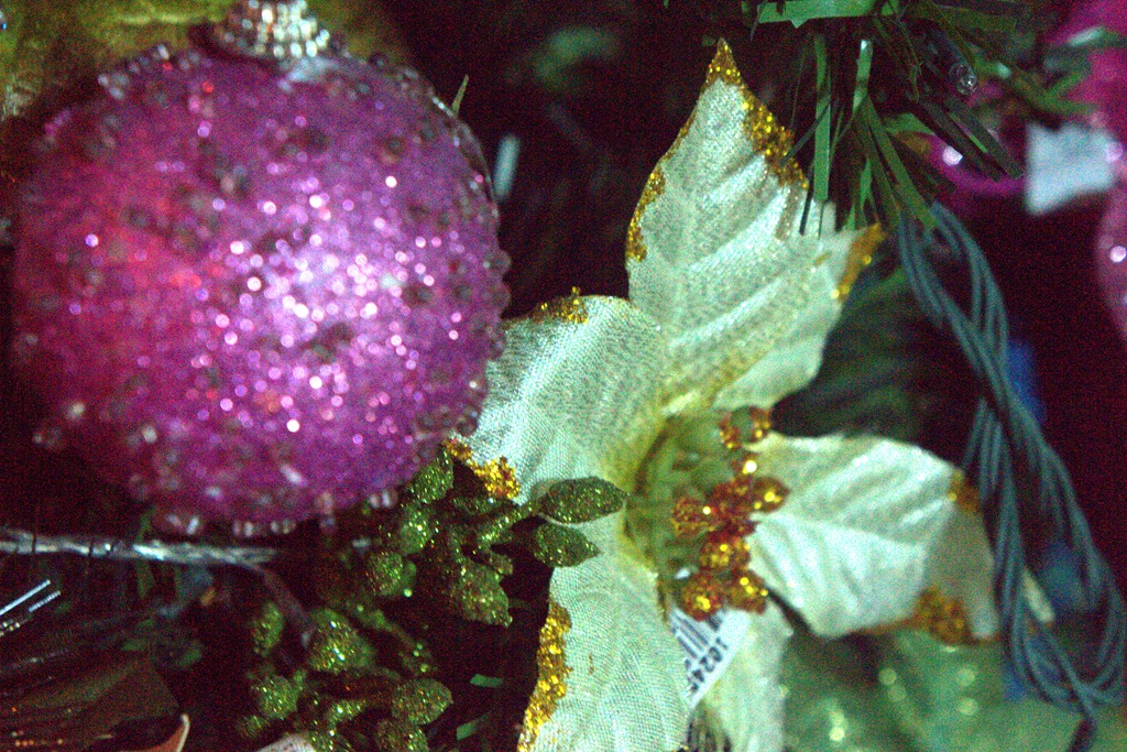 [Close up Christmas 066.ARW[4].jpg]