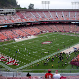 Falcons vs 49ers