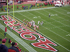 Go birds!