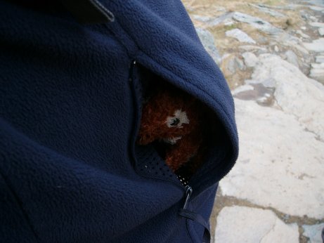 http://lh5.ggpht.com/_7ODftPSZPsY/S6EgNw9kSdI/AAAAAAAAAd8/_a41MoHX-oo/squizzle4.jpg
