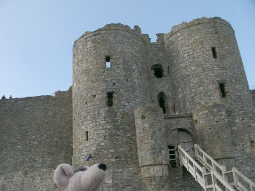 http://lh5.ggpht.com/_7ODftPSZPsY/TLjcq9rBzZI/AAAAAAAACWU/zViMg2U8Dvs/charlieharlech1.jpg