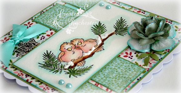 woj-love-birds-2 woj-love-birds-2