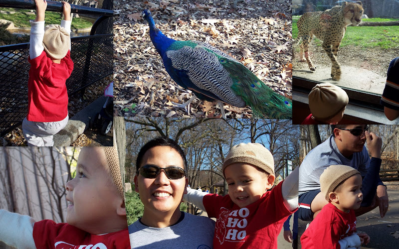 Jingle Bell Run and... the Zoo!