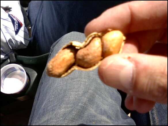 [triple+nut.jpg]