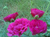 03092006.jpg