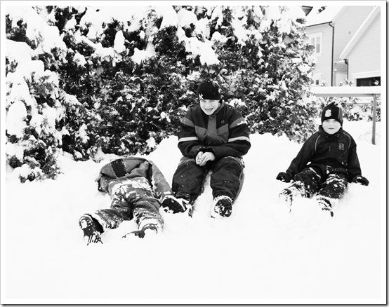 DSC_0098_edited-1