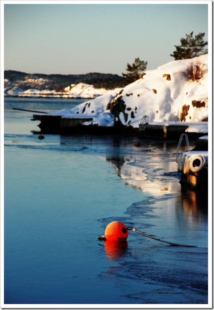 DSC_0279_edited-1